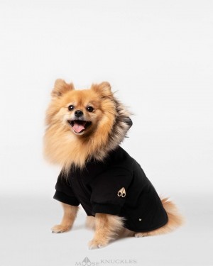 Black / Gold Faux Fur Moose Knuckles POOCH PARKA Pet | Wd20-XX29