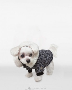 Monogram / Natural Fur Moose Knuckles POOCH PARKA Pet | tr42-Qj97