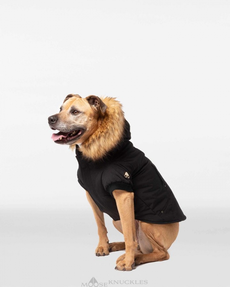 Black / Gold Faux Fur Moose Knuckles POOCH PARKA Pet | pg79-Us66