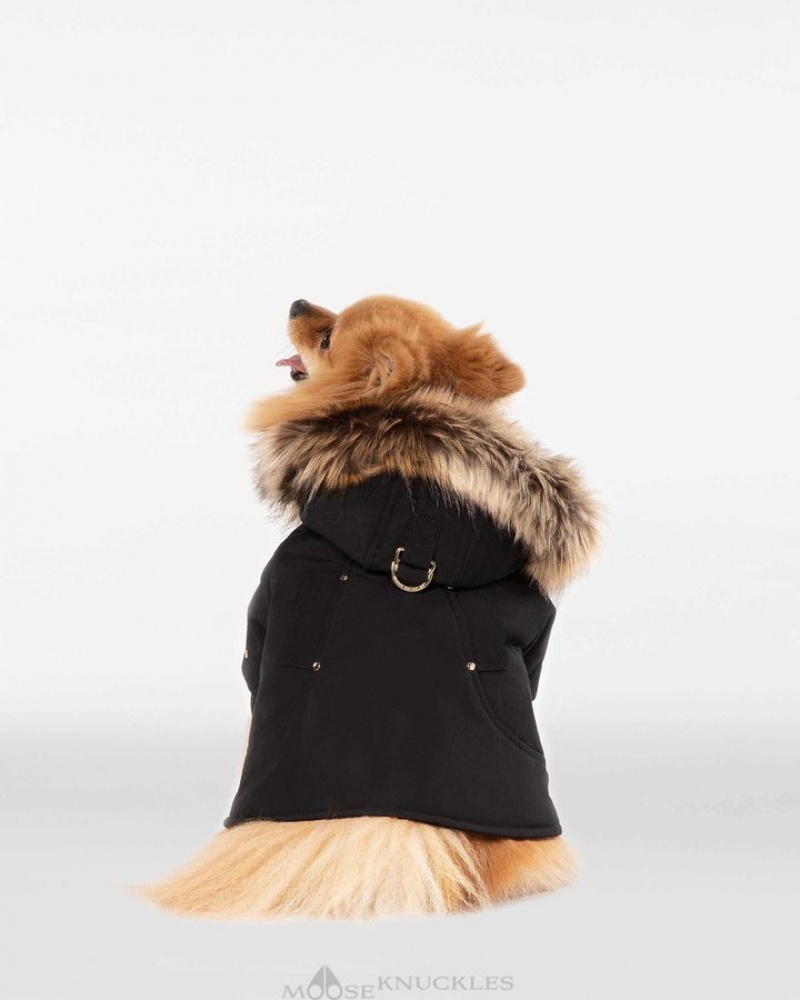 Black / Gold Faux Fur Moose Knuckles POOCH PARKA Pet | pg79-Us66