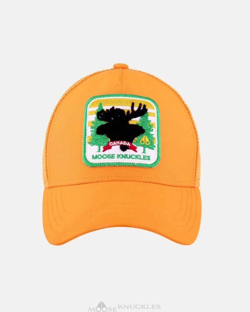 Orange Peel Moose Knuckles CANADIANA PATCH CAP Baseball caps | VK02-Xc85